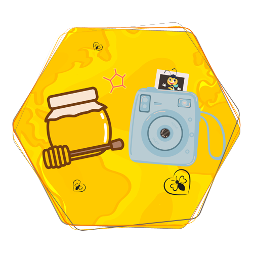 Color Box