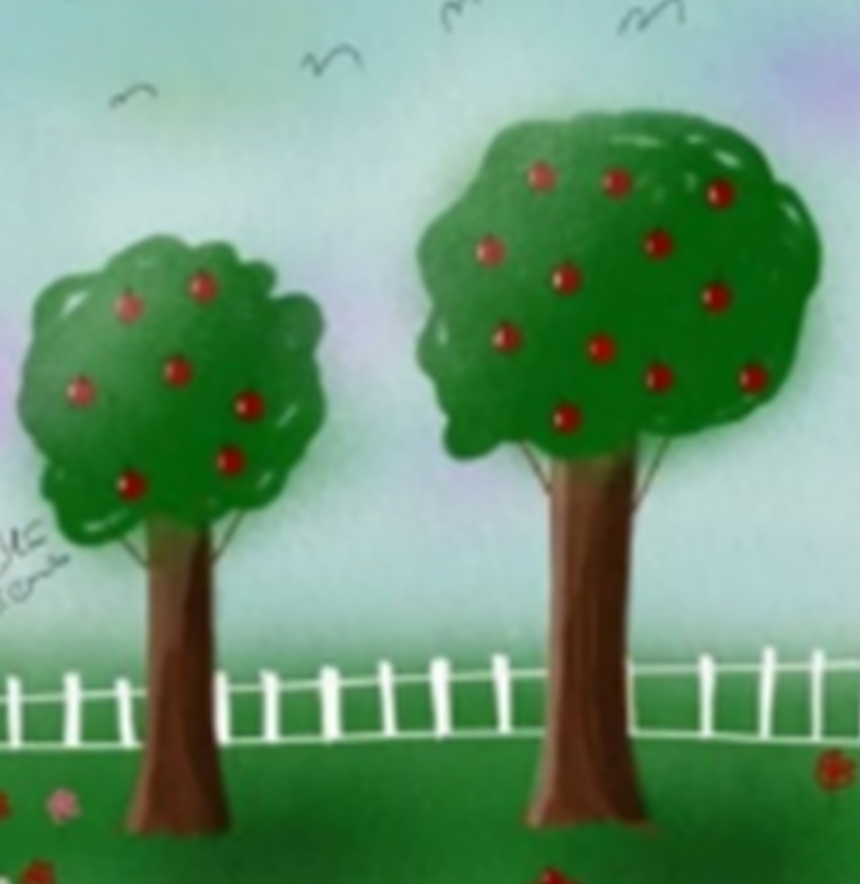 Drawing Academy Drawing Academy